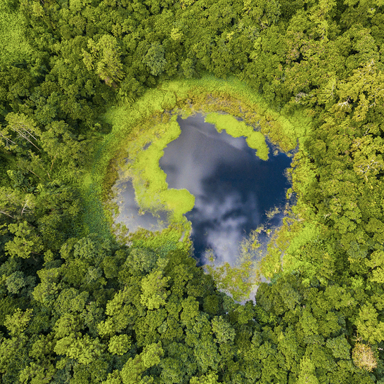 Luftaufnahme eines Sees in Mauritius, umgeben von üppigen Bäumen und grünem Ufer.