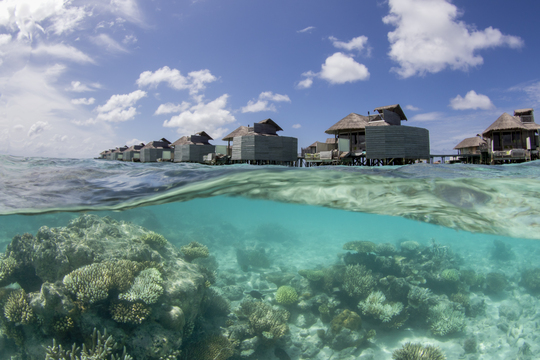 Aus dem kristalklaren Wasser wurden die Wasserbungalows fotografiert
